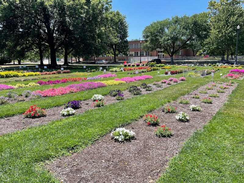 Chadwick Arboretum & Learning Gardens (Columbus)