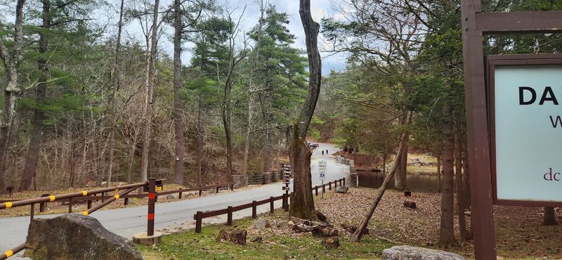 Damon Pond - Ashby, Middlesex County