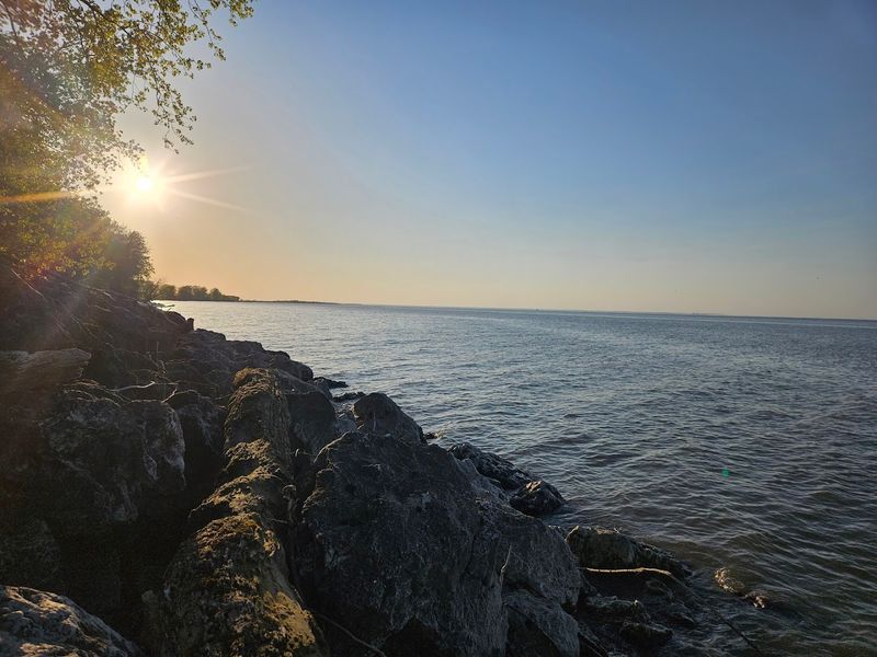 Magee Marsh Wildlife Area