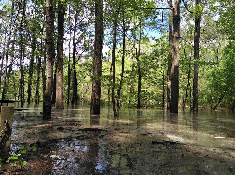 Jordan Lake