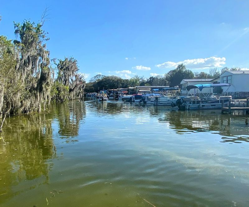 Lake Griffin
