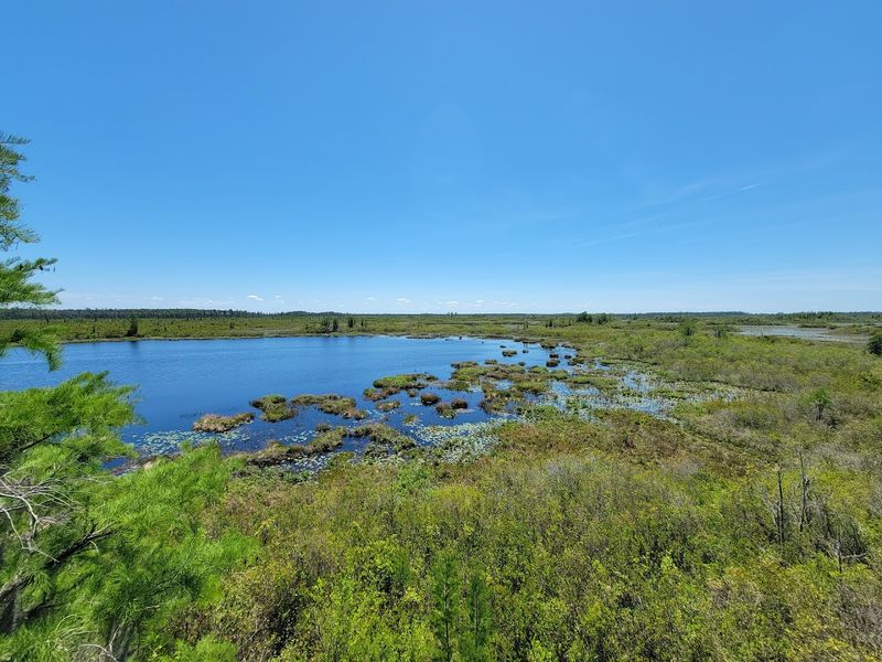 Okefenokee National Wildlife Refuge 