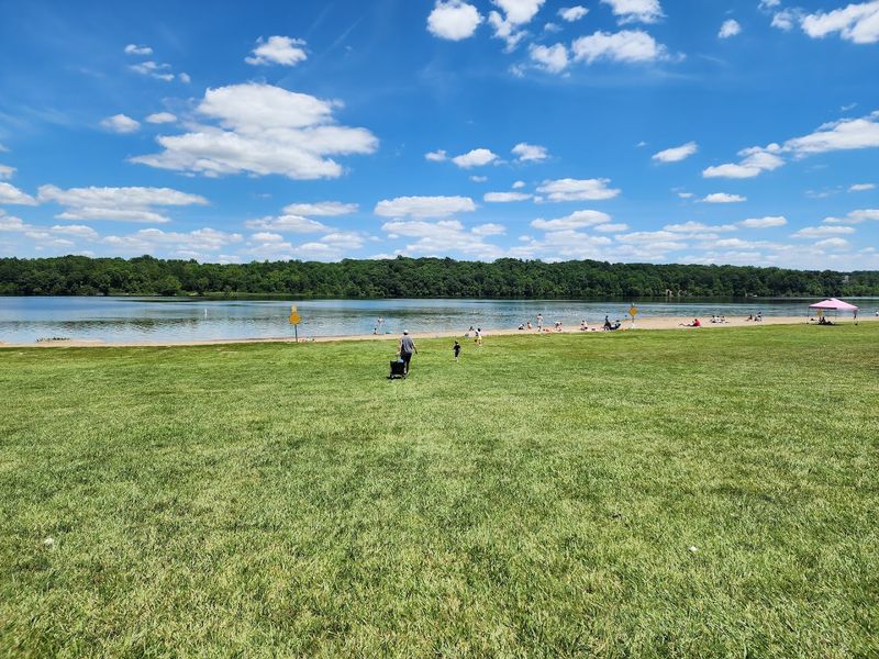 Hueston Woods State Park Beach