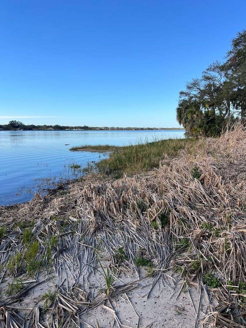 Lake Seminole