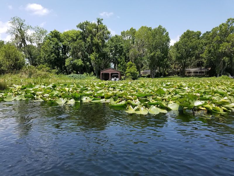 Lake Harris