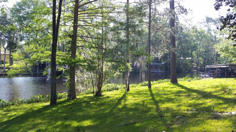 Lake Talquin (Near Tallahassee, Florida)