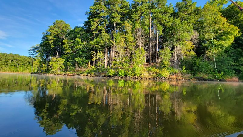 Falls Lake State Recreation Area - Wake Forest, Wake County