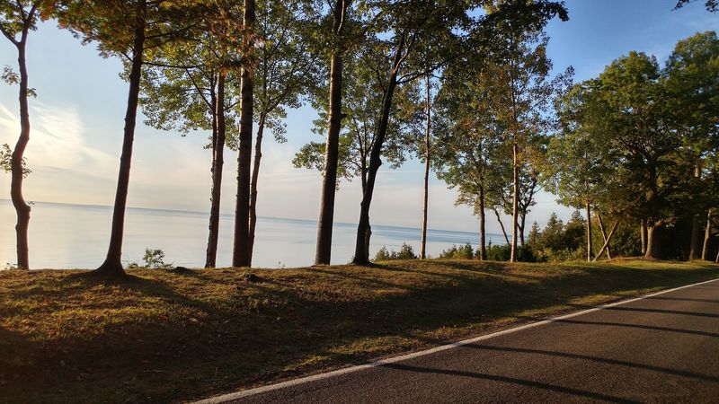 Tunnel of Trees Scenic Drive (M-119) - Harbor Springs, Emmet County