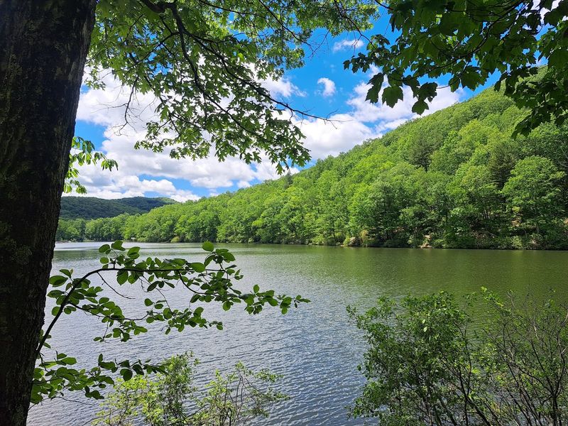 Sherando Lake