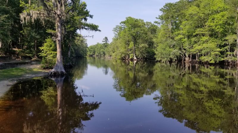 Lumber River State Park &mdash; Orrum