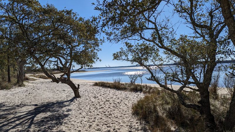 Carolina Beach State Park - Sugarloaf Trail