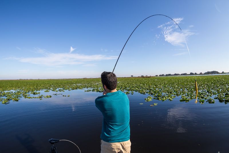 Lake Kissimmee