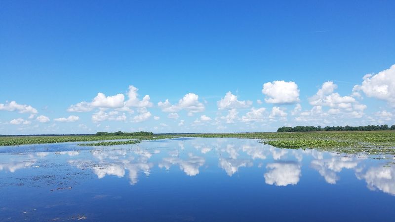 Lake Istokpoga