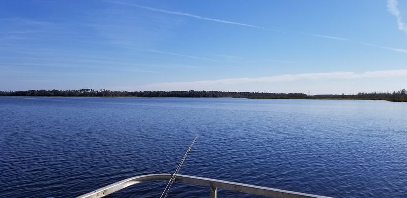 Lake Lochloosa