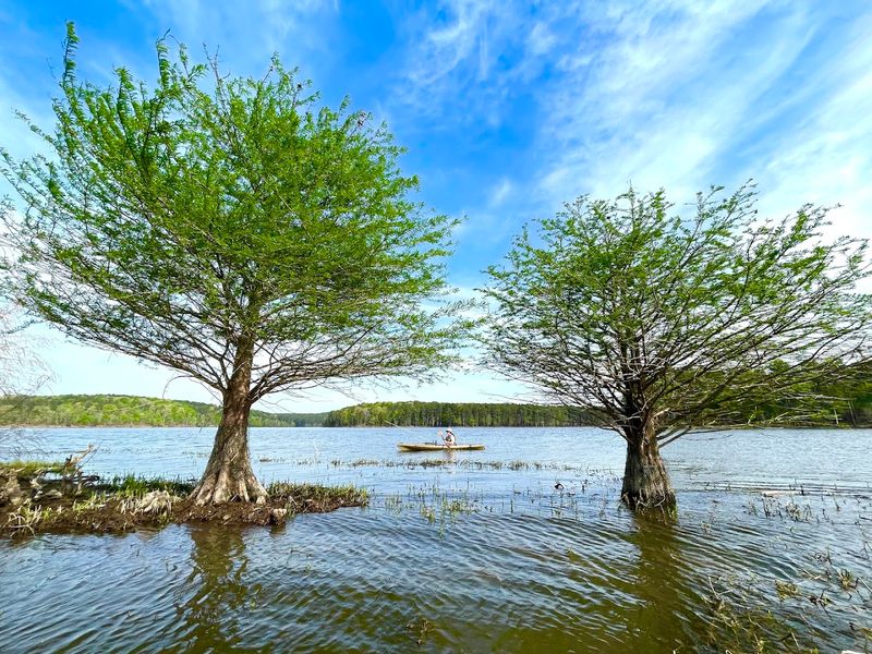 Jordan Lake