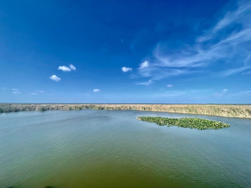 Lake Apopka
