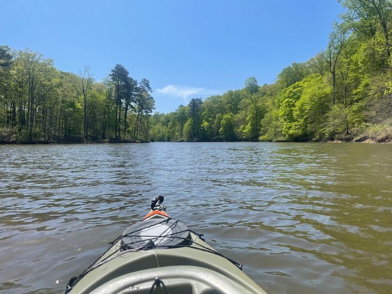Falls Lake