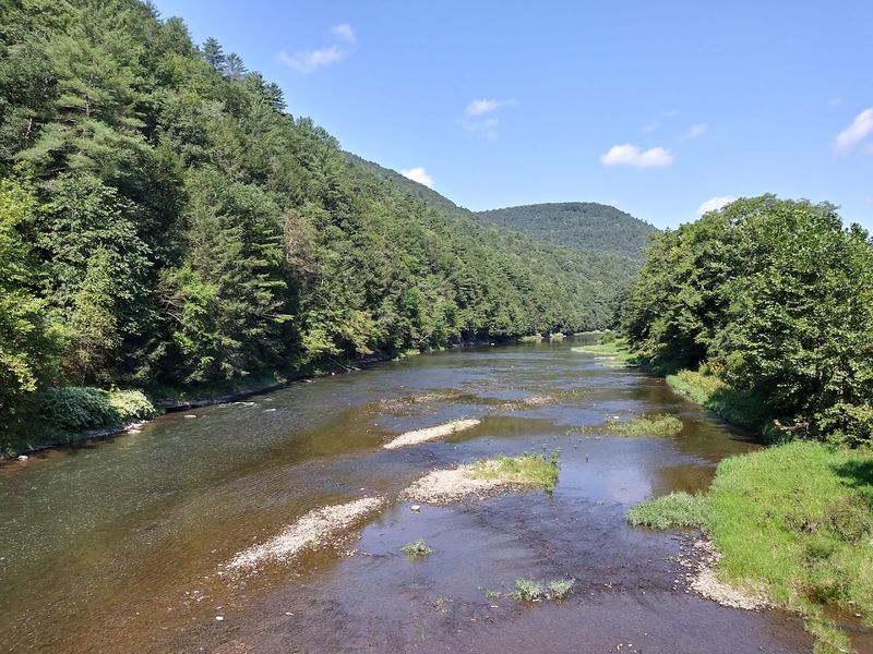 Pine Creek Gorge (Pennsylvania Grand Canyon)