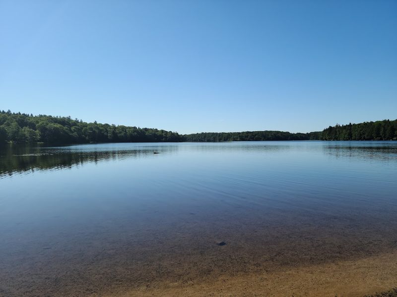 Promised Land Lake &mdash; The Woodland Lake That Feels Secretly Removed From The World