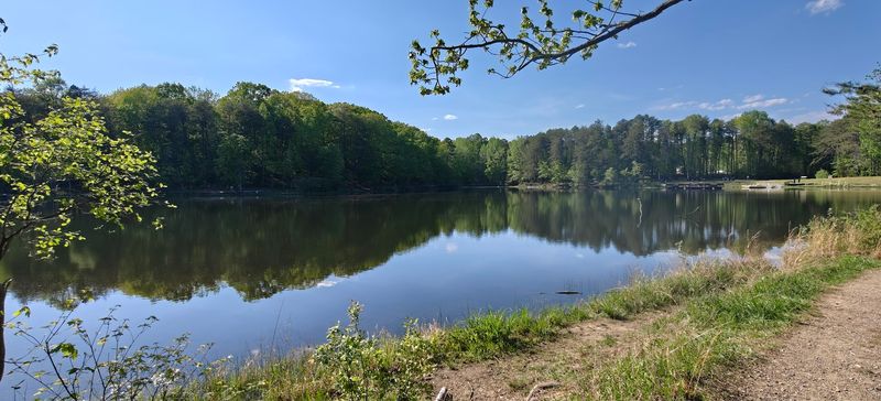 The Turnback and Fern Trail Network