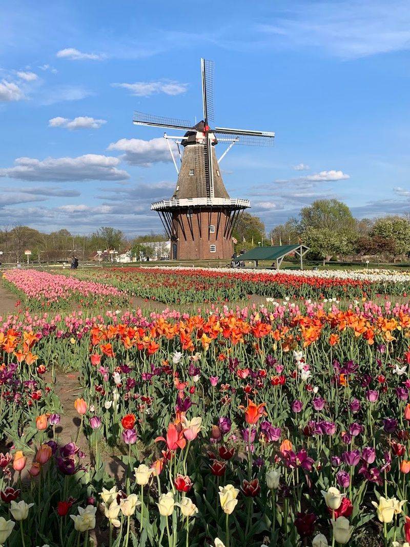 Holland