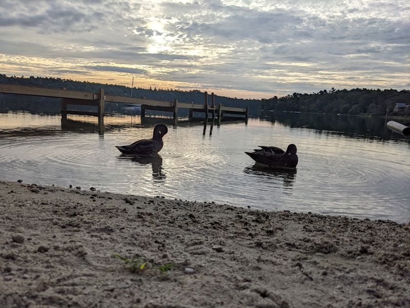 Long Pond (Plymouth)