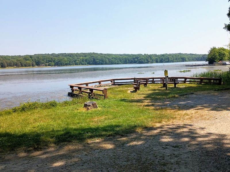 Gifford Pinchot Lake Beach