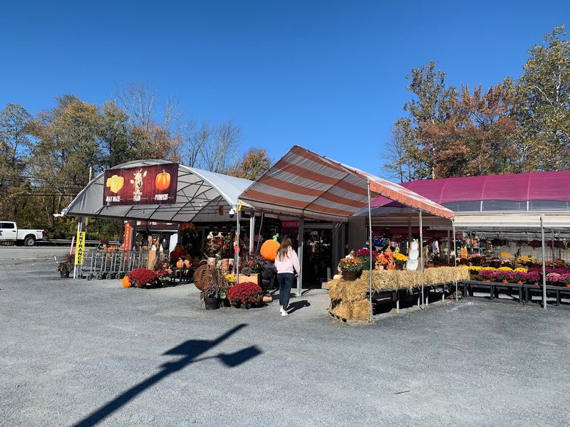 Pocono Farmstand & Nursery