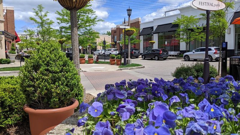 The Village of Rochester Hills &mdash; Rochester Hills