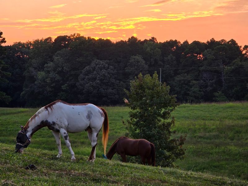 Painted Sky Ranch