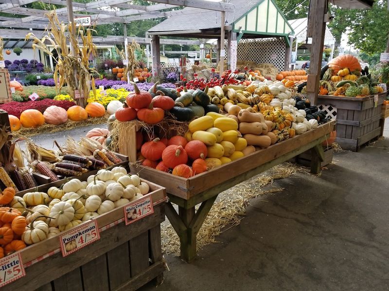 Wolff's Apple House Farm Market & Garden Center
