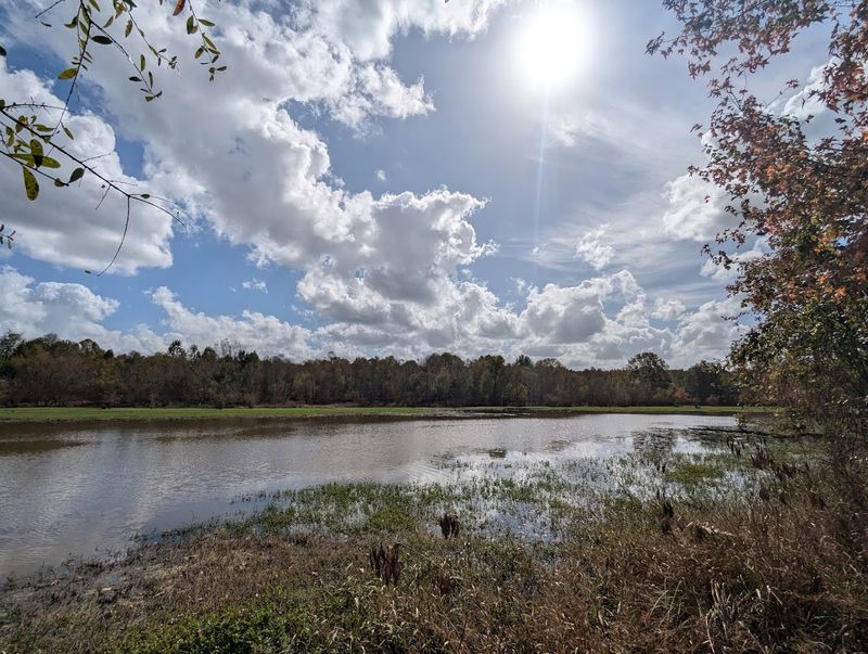 Trade, Travel, and the Ocmulgee River Corridor