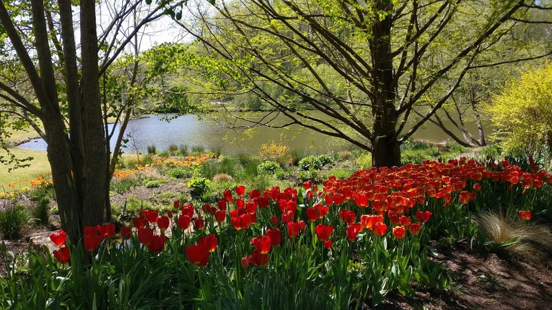 Meadowlark Botanical Gardens (Vienna)
