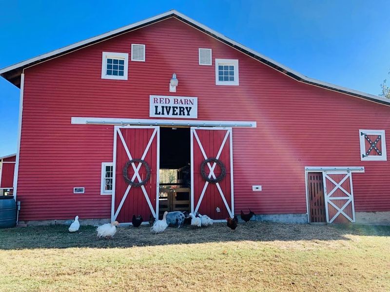 The Red Barn Farm / Agritourism Hubs - Woodstock, Cherokee County