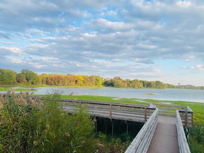 John Heinz National Wildlife Refuge at Tinicum