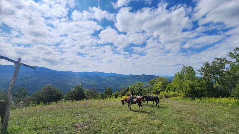 Mountain Top Ranch Equine Center