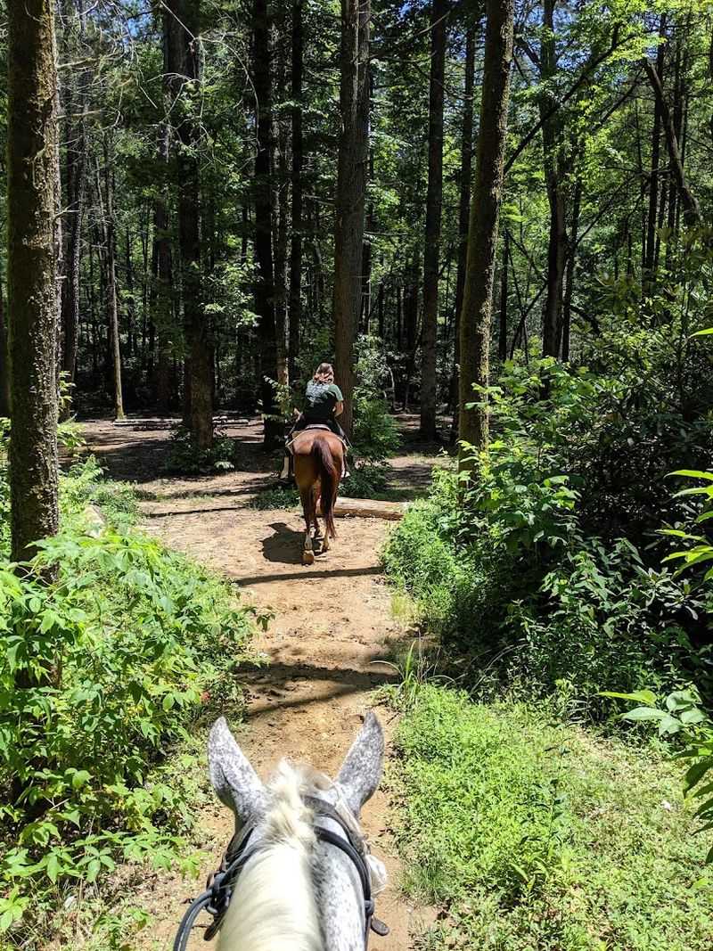 Saddle Up Trail Rides (Smoky Mountain riding base) 