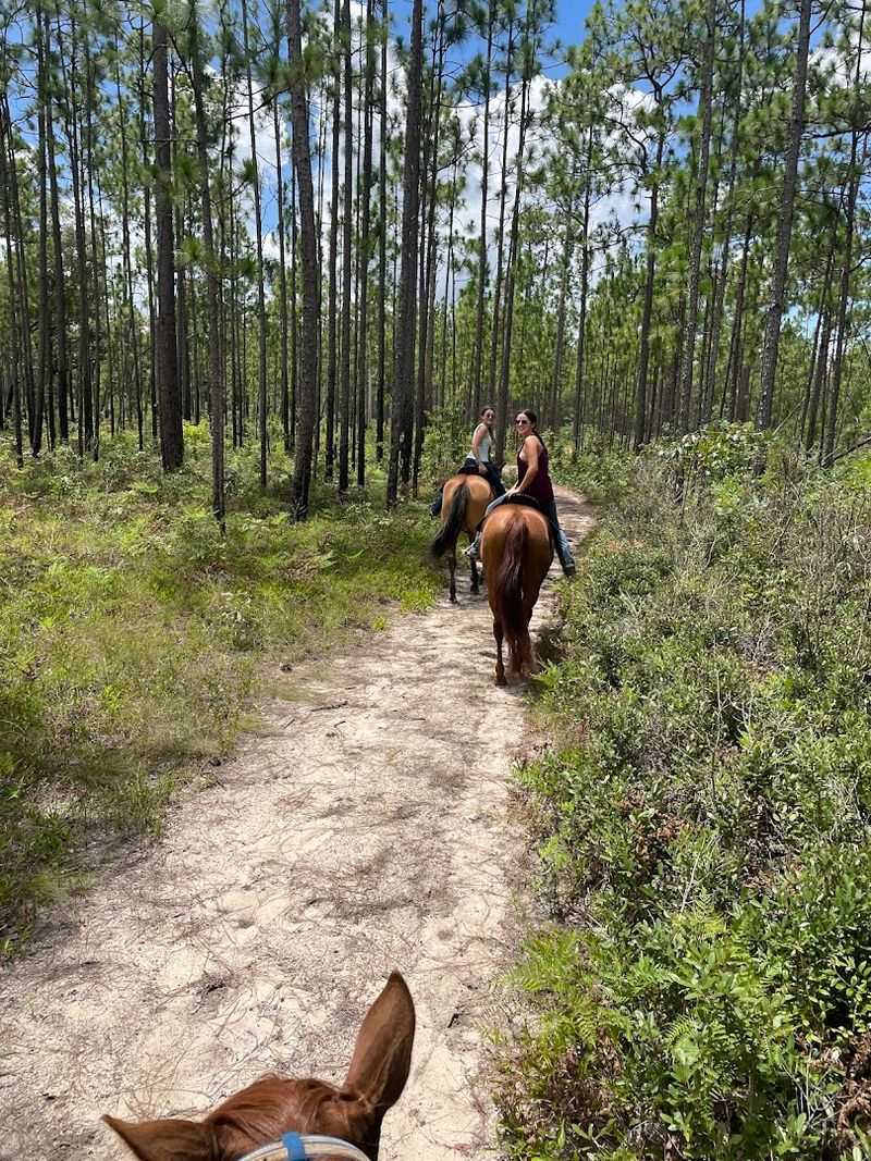 Blackwater River State Forest Equestrian Trails 