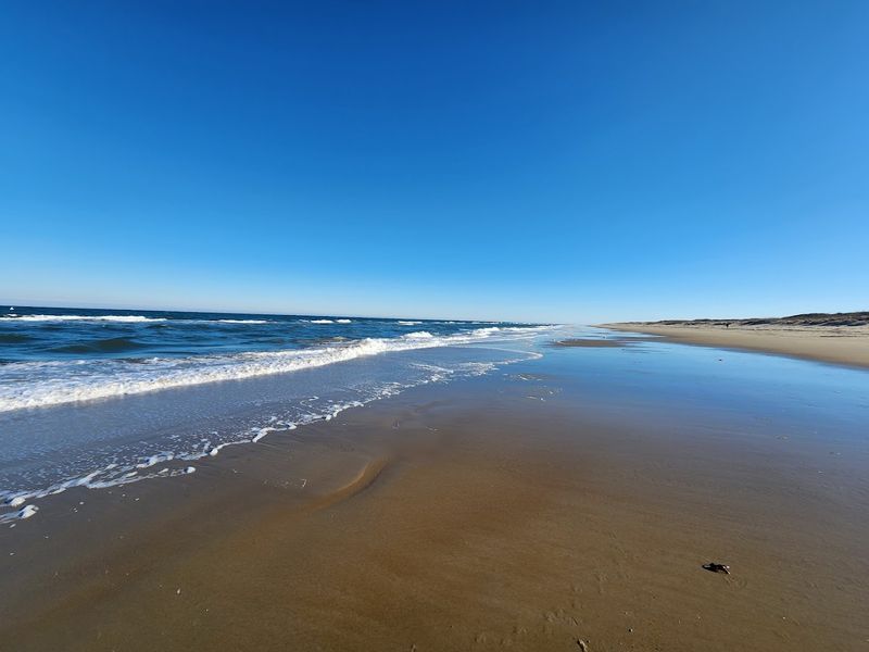 Back Bay National Wildlife Refuge Beach