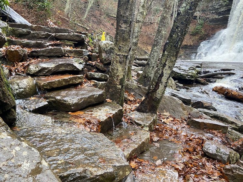 Engineered Trail Features