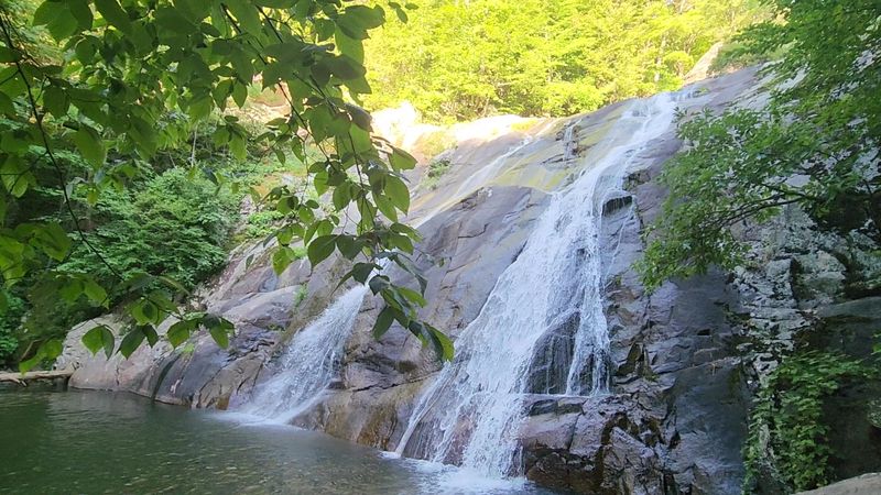 Cedar Run Falls