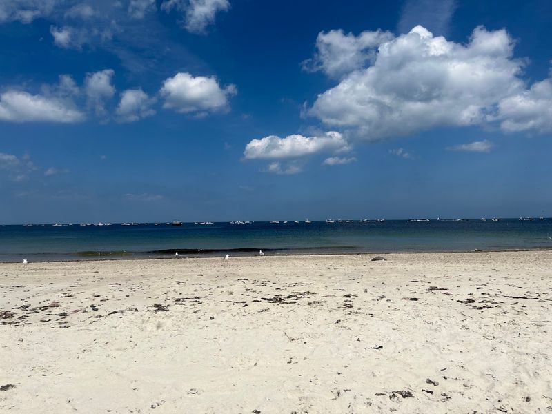 White Horse Beach - Plymouth, Plymouth County