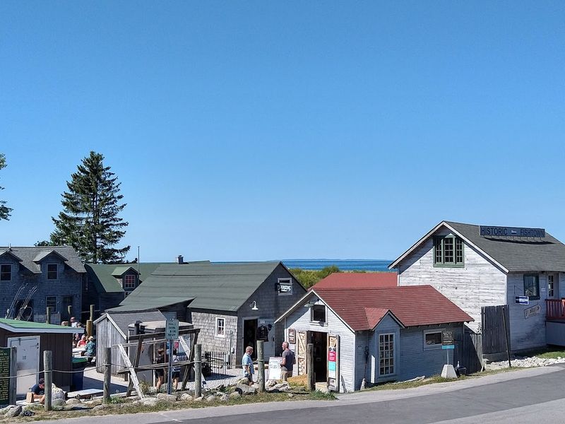Seasonal Activities Along The Docks
