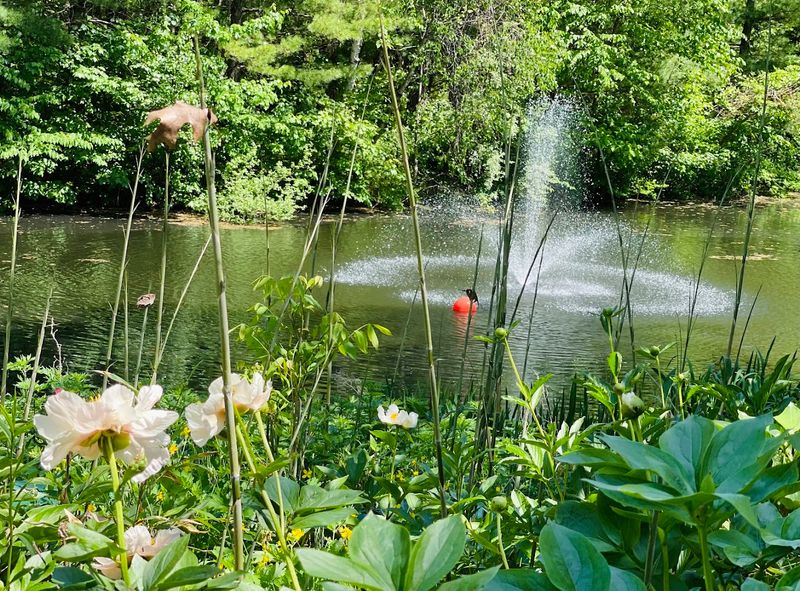 Cricket Hill Garden - Thomaston, Litchfield County,