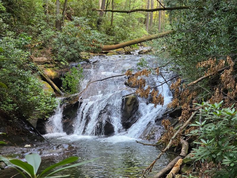 Dukes Creek Falls Trail 