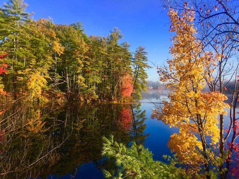Lake Rohunta