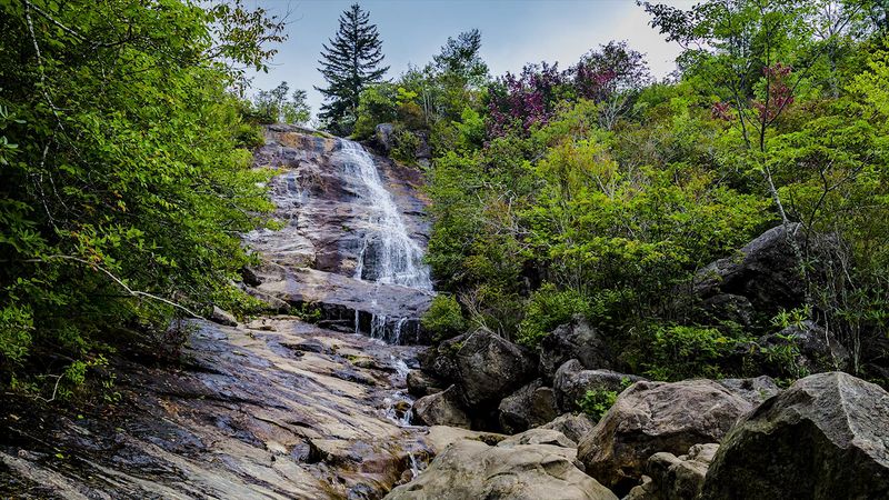 Graveyard Fields Loop Trail