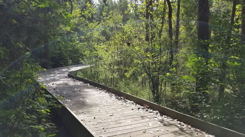 Huron Valley Trail - Norwalk, Huron County