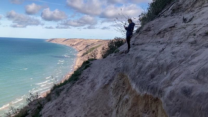 Log Slide Overlook