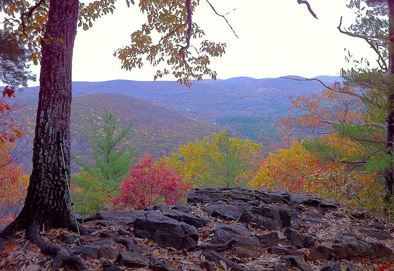 Pine Mountain